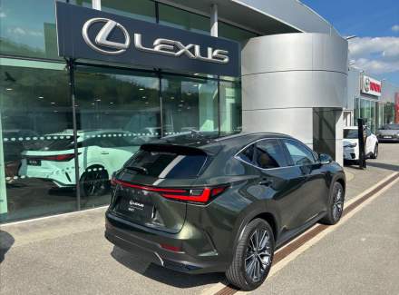 Lexus - NX