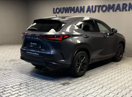Lexus - NX