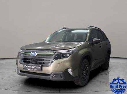 Subaru - Forester