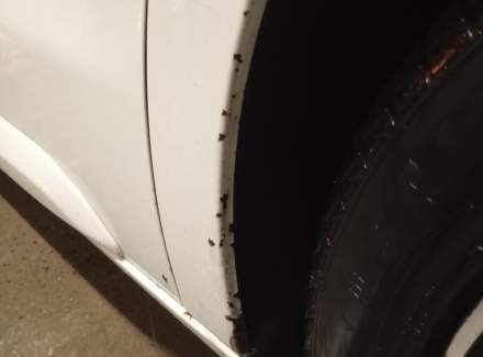 Citroën - SpaceTourer