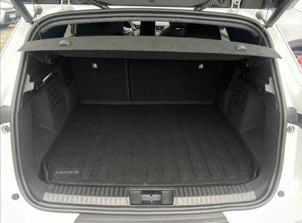 Mitsubishi - Grandis