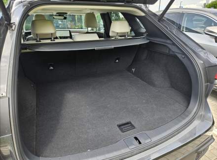 Lexus - RX