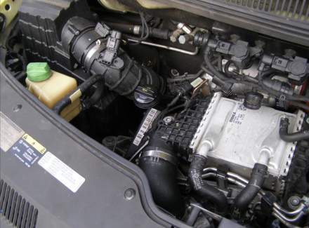 Volkswagen - Transporter