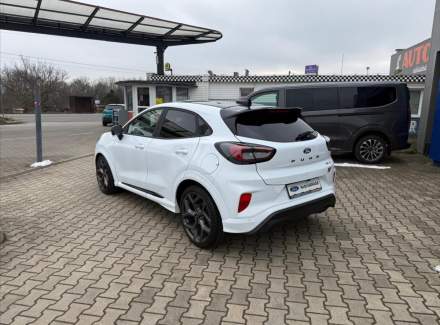 Ford - Puma