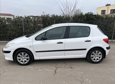 Peugeot - 307