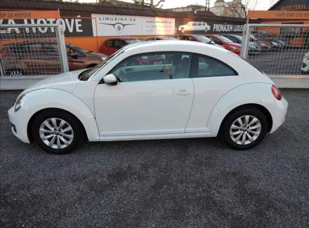 Volkswagen - Beetle