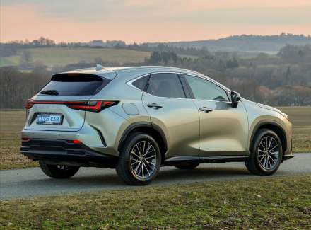 Lexus - NX