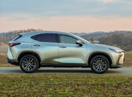 Lexus - NX