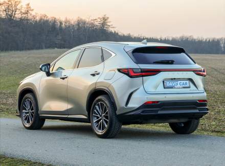 Lexus - NX