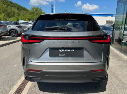 Lexus - NX