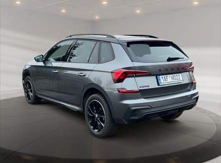 Škoda - Kamiq