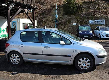 Peugeot - 307
