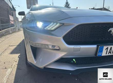 Ford - Mustang