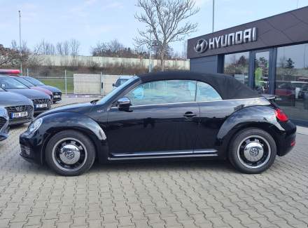 Volkswagen - Beetle