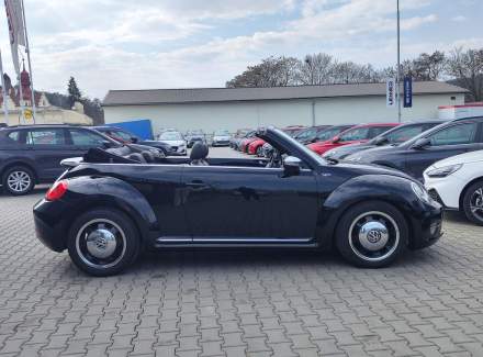 Volkswagen - Beetle