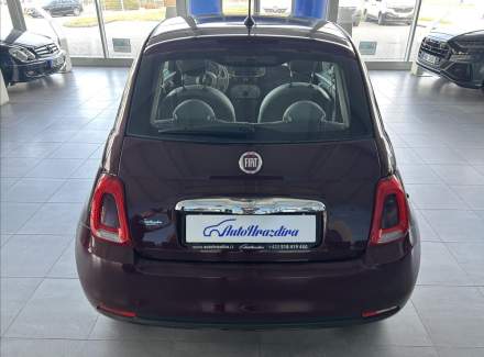 Fiat - 500