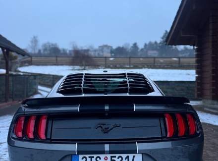 Ford - Mustang