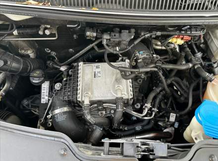 Volkswagen - Transporter