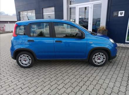 Fiat - Panda
