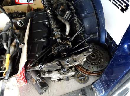 Volkswagen - Transporter