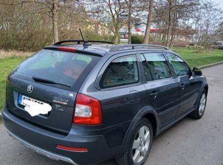 Škoda - Octavia