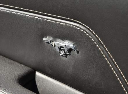Ford - Mustang