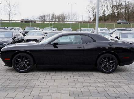 Dodge - Challenger