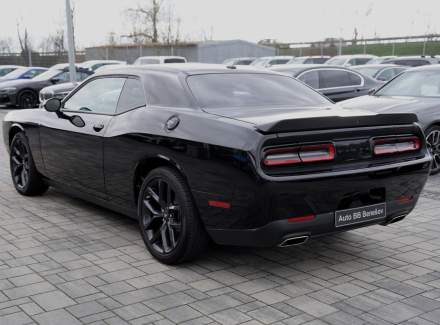 Dodge - Challenger