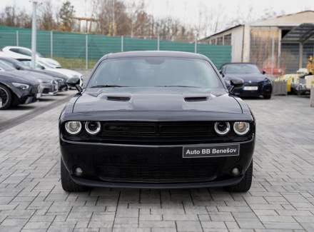 Dodge - Challenger