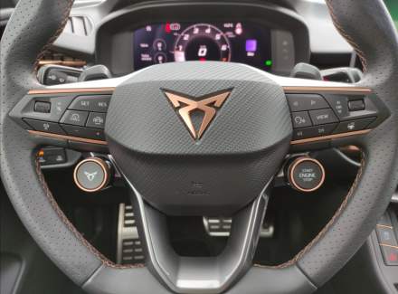 Cupra - Terramar