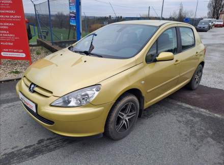 Peugeot - 307