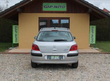 Peugeot - 307