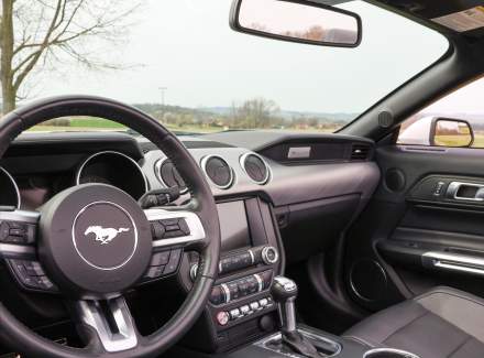 Ford - Mustang