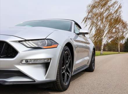 Ford - Mustang