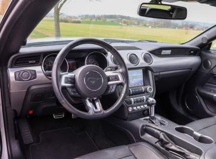 Ford - Mustang