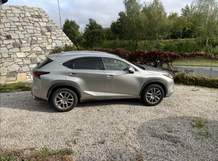 Lexus - NX