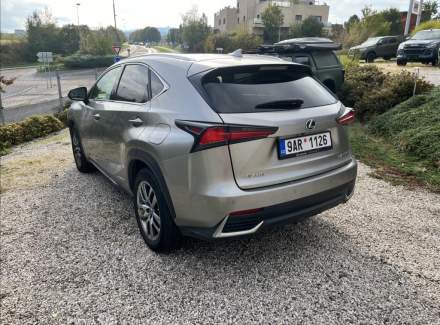Lexus - NX
