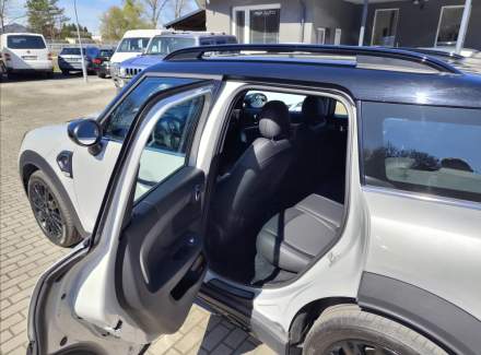 Mini - Countryman