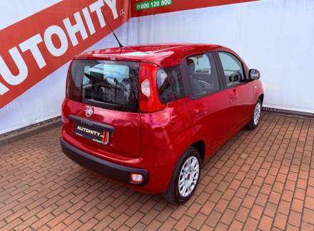 Fiat - Panda