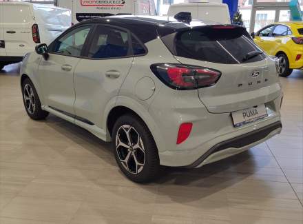 Ford - Puma