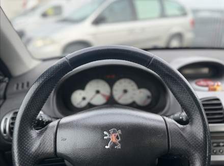 Peugeot - 206