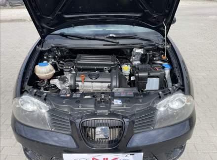 Seat - Ibiza