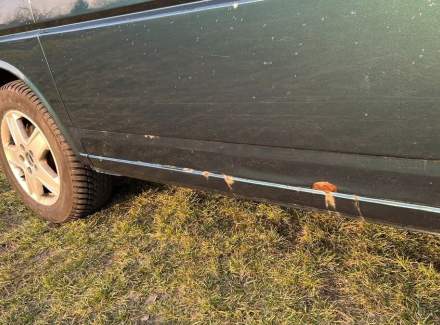 Volkswagen - Transporter