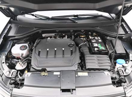 Volkswagen - T-Roc