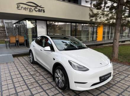Tesla - Model Y