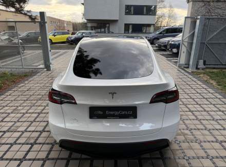 Tesla - Model Y