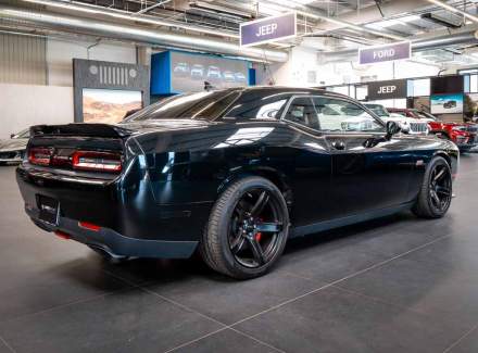 Dodge - Challenger