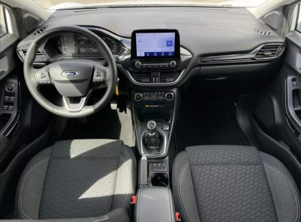Ford - Puma