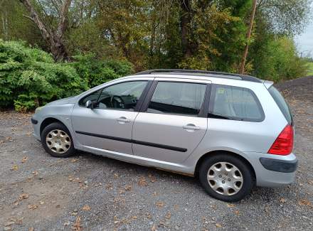 Peugeot - 307 1.6 (109 Hp)