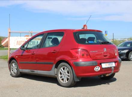 Peugeot - 307